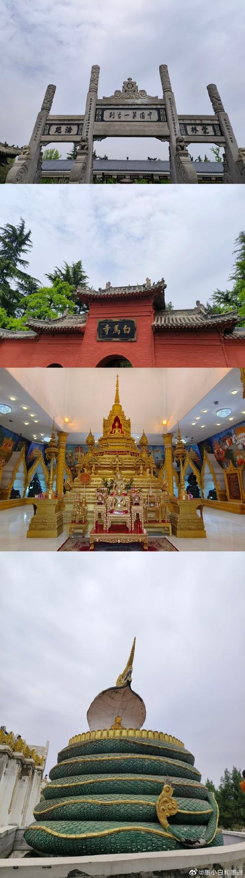 国色天香醉洛阳——第41届中国洛阳牡丹文化节全攻略