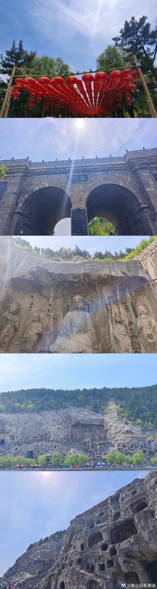 洛阳牡丹文化节 千年古都的文旅融合新篇章
